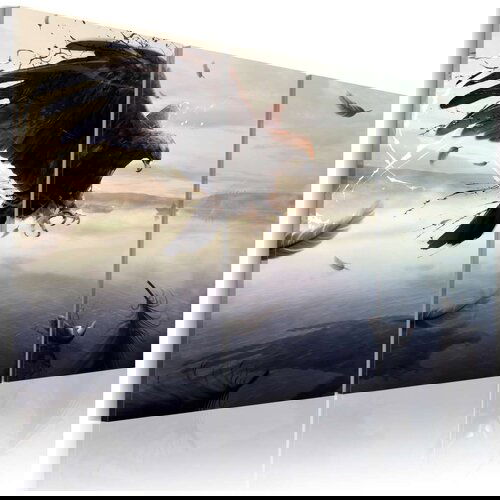  Slika - Eagle above the surface of a lake 60x40 Cijene