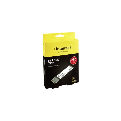 Intenso SSD M.2SATA III 256GB/Top Cijene