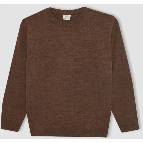 Defacto Boy's Crew Neck Knitwear Sweater