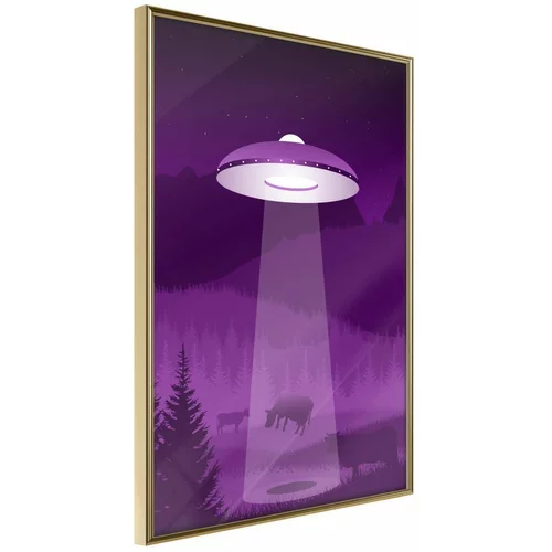  Poster - Flying Saucer 40x60