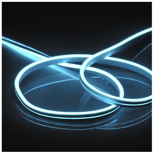  led traka neon 5 m LED/27W/12V IP65 plava Cene