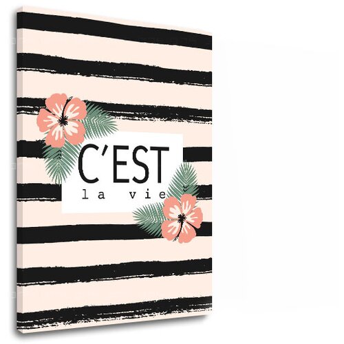  Slike na platnu sa tekstom C est la vie (moderne slike sa) Slike