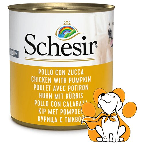 Schesir dog Chicken With Pumpkin 285g, Vlažna Hrana Za Odrasle Pse Cene