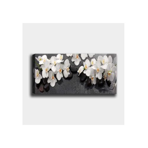 Wallity Slika na platnu 30x80cm Slike