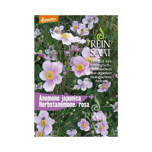 ReinSaat Bio japonska anemona Cene