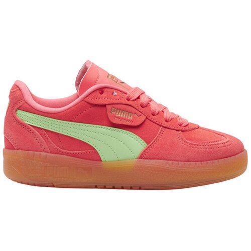 Puma Nizke superge Baskets Palermo Moda Xtra Gum daim Oranžna Slike