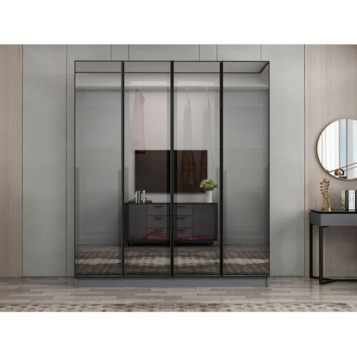 Hanah home ormar sa reflektujućim staklom Nisa 20628, 180 cm, antracit Cene