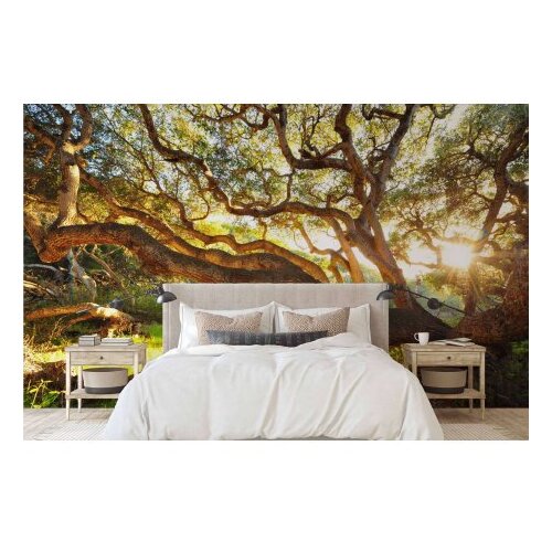 Wallxpert Tapeta za zid MDK-00116, 100x100 cm, &amp;Scaron;arena Slike