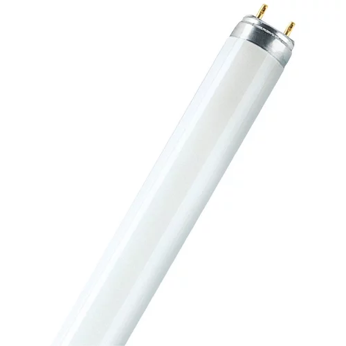 Osram Fluorescentna žarulja (T8, Bijele boje dnevnog svjetla, 36 W, Duljina: 121,4 cm)