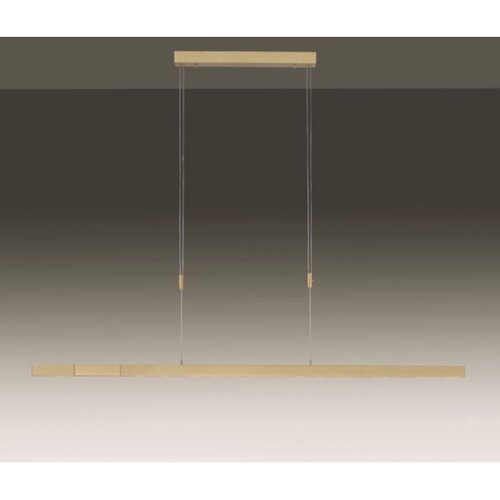 PAUL NEUHAUS 2568-60 - led prigu&amp;scaron;iva luster na sajli adriana LED/14W/230V mesing Slike