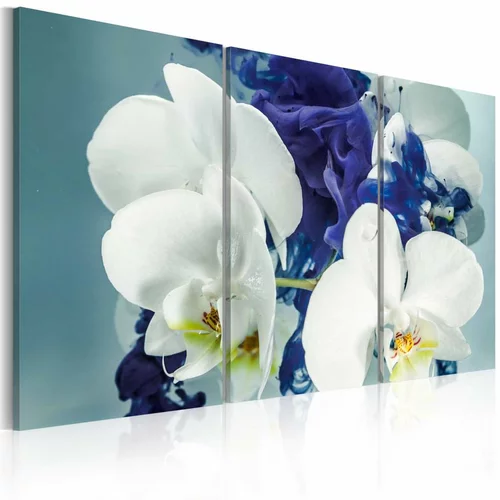  Slika - Chimerical orchids 120x80