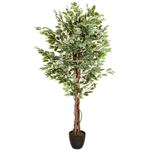MID.YOU Umetna Rastlina Ficus Slike