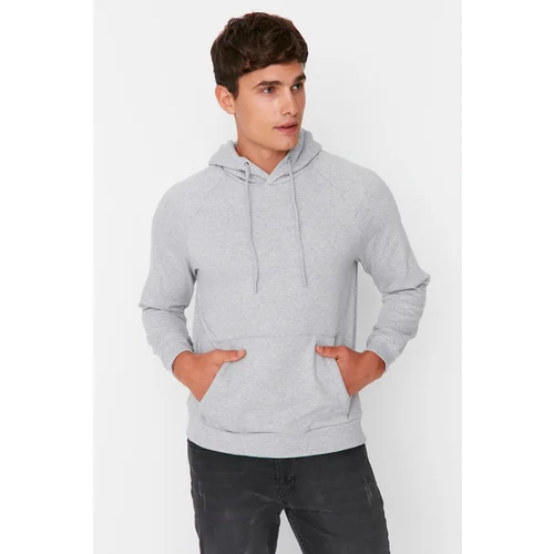 Trendyol Gray Men's Basic Regular Fit Hooded Raglan Sleeve Sweatshirt