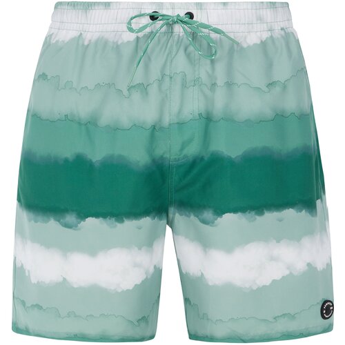  Men&amp;#039;s beach shorts PRTHAMSEY Slike