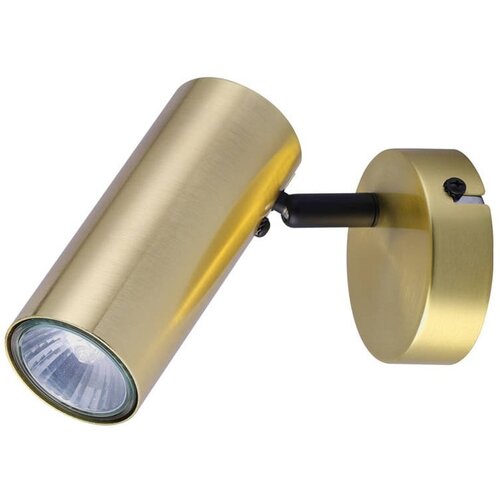 Candellux Lighting Kovinska stenska svetilka v zlati barvi Colly - Candellux Lighting Cene