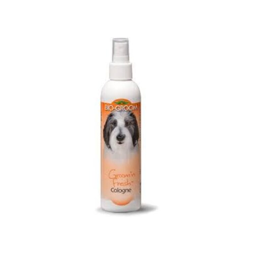  BG Miris GROOM&acute;N FRESH COLOGNE 236 ml Cene