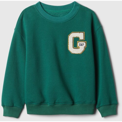GAP Baby sweatshirt - Boys Cene