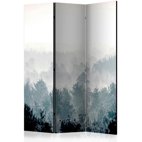 Artgeist PARAVAN 135/172/3 cm pastelno modra, sivobela Cene