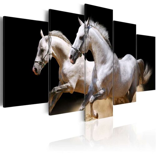  Slika - Gallop- freedom and power 100x50 Cijene