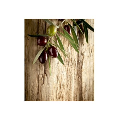 Conceptum Hypnose 4051A - multicolor multicolor hall carpet (80 x 150) Cene