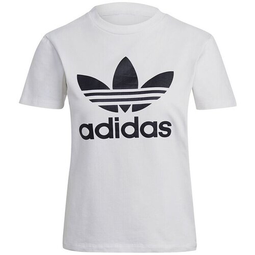 Adidas Majice s kratkimi rokavi Trefoil Tee Bela Cene