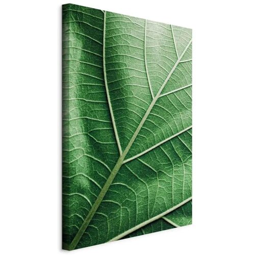  Slika - Malachite Leaf (1 Part) Vertical 40x60 Cijene