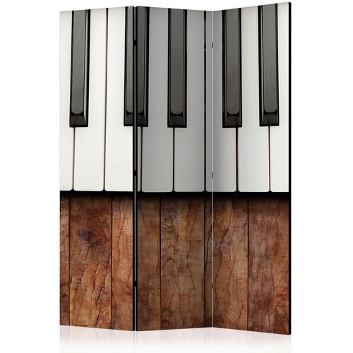 Artgeist PARAVAN 135/172/3 cm rjava, bela Cene