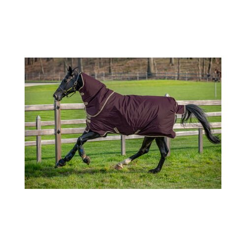 Horseware Ireland Amigo Hero Ripstop Plus 100g fig/navy/tan - 175 cm Slike