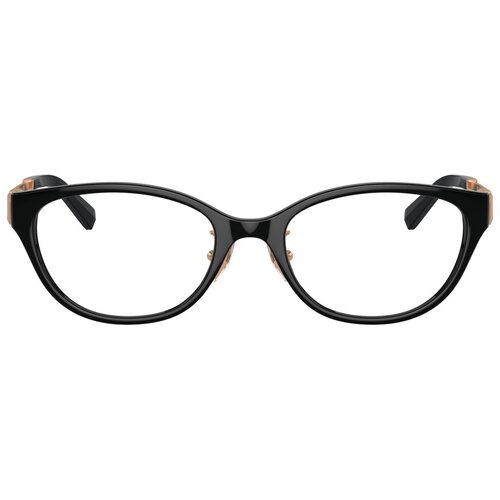 Tiffany Naočare TF 2252D 8420 Cene