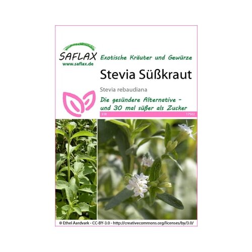 Saflax Stevia sladko zelišče Cene