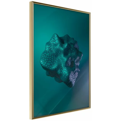  Poster - Sea Fossil 20x30