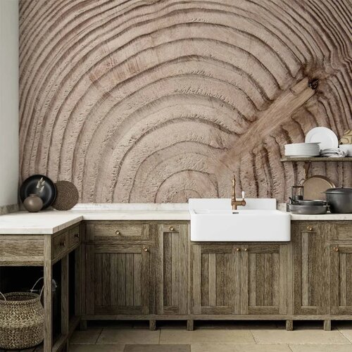  Foto tapeta - Wood grain 250x175 Vodootporna Cene