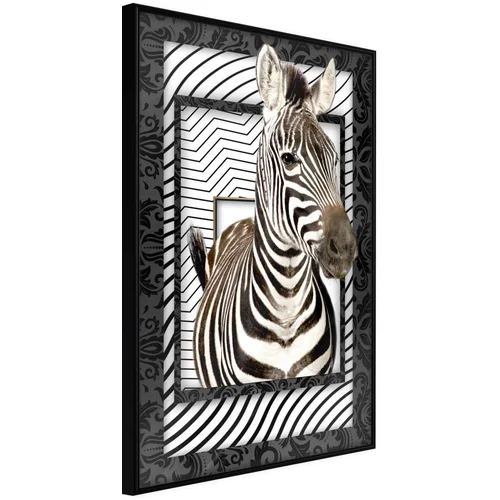  Poster - Zebra in the Frame 30x45