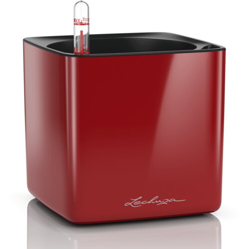 LECHUZA Okrasni lonec Cube Glossy 14 - Scarlet rdeča visoki sijaj Slike
