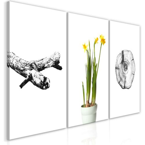  Slika - Nature (Collection) 60x30 Slike