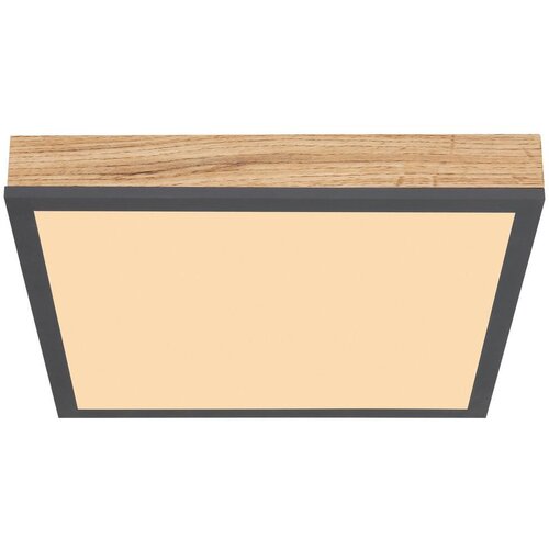 Globo Doro LED panel (12 W, 30 x 30 cm, Topla bijela) Cijene