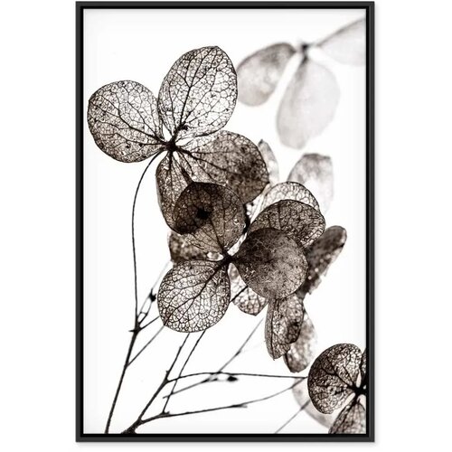  Slika - Transparent Clover (1 Part) Vertical 60x90 U crnom drvenom okviru Slike