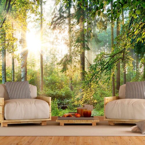  Samoljepljiva foto tapeta - Untamed Nature 245x175 Slike
