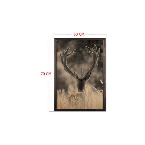 Wallity slika stag, 50 x 70 cm Cene