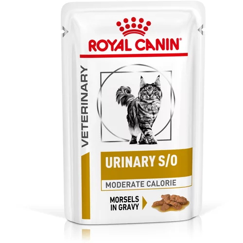 Royal Canin Veterinary Feline Urinary S/O Moderate Calorie - 24 x 85 g Koščki v omaki