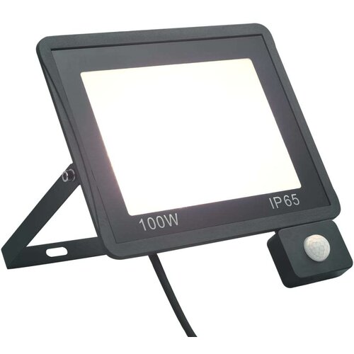 vidaXL LED reflektor s senzorjem 100 W hladno bel Cene