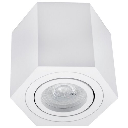  SPOT svetlo ARENO 1xGU10/30W/230V belo Slike
