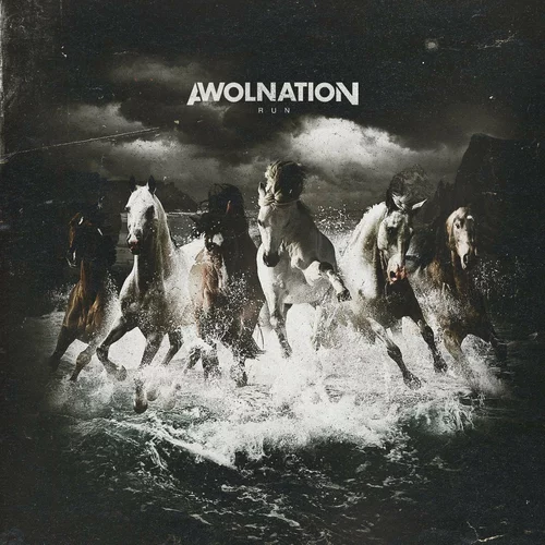 Awolnation (2 LP)