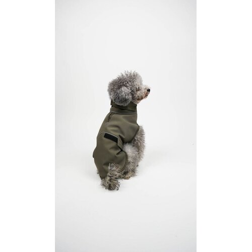 Paws & Whiskers Odelo za pse, Kaki Cene