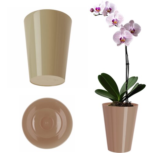 KADAX Cvetlični lonec za orhideje, plastični cvetlični lonec, bež, enobarvni, 13 cm, (5000346027) Cene