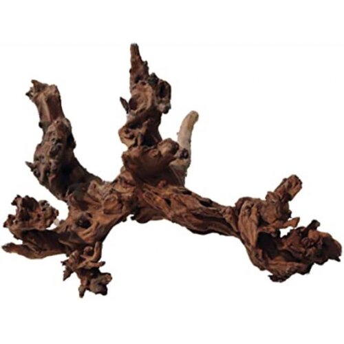  Ukrasno drvo Mystic wood XS Cene