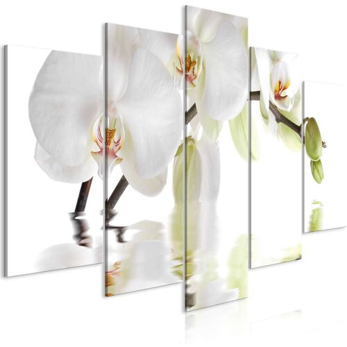  Slika - Wonderful Orchid (5 Parts) Wide 100x50 Cijene