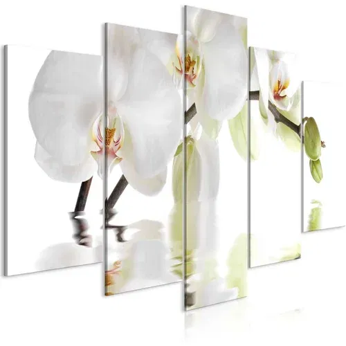  Slika - Wonderful Orchid (5 Parts) Wide 100x50