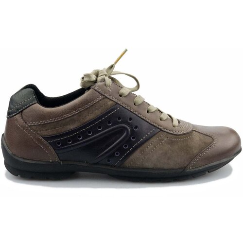 Camel Active Nizke superge 709.12.01 Siva Cene