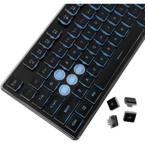 WHITESHARK Tachi GK-003141 gaming tipkovnica, US, crna Slike